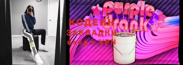индика Бронницы