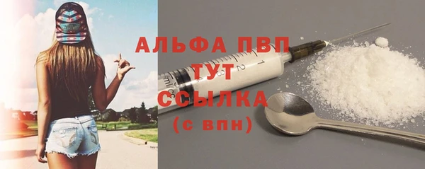 индика Бронницы