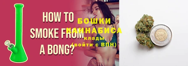 индика Бронницы