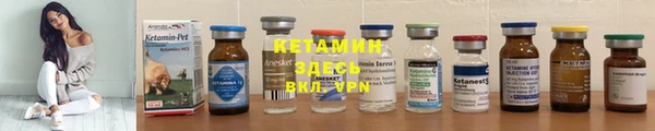 2c-b Бородино