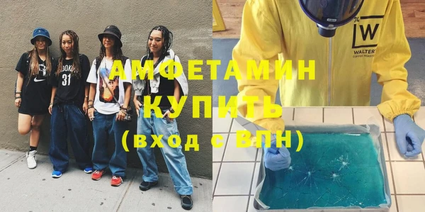 индика Бронницы