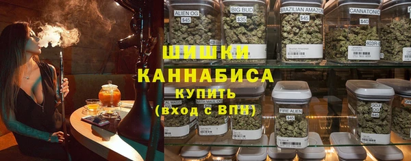 2c-b Бородино