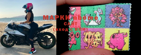индика Бронницы