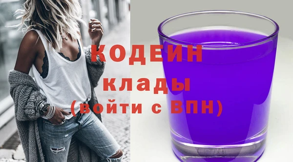 2c-b Бородино