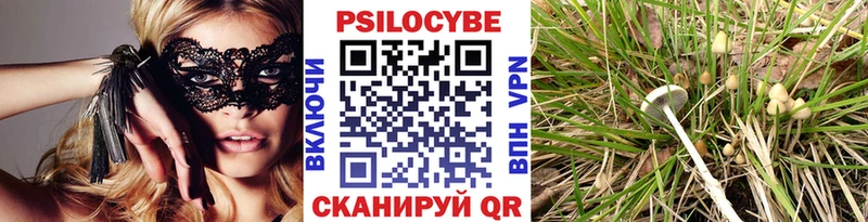 Галлюциногенные грибы Psilocybine cubensis  Купить закладки  Екатеринбург 